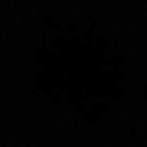 Meet your Posher, Alisson