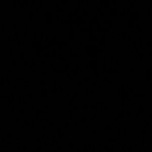 Meet your Posher, Brynn