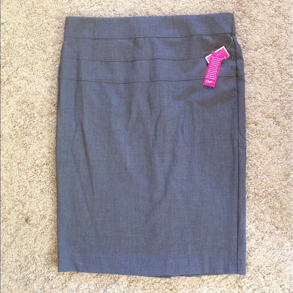 NWT Gray Pencil Skirt