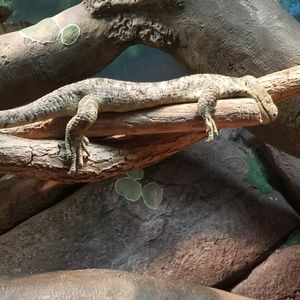 Meet your Posher, Kevin