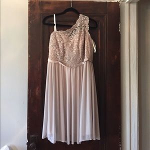 Short, Corded lace dress, David’s Bridal, Biscotti