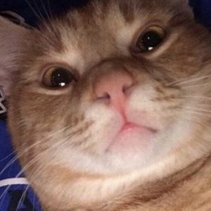 Meet your Posher, Adriann