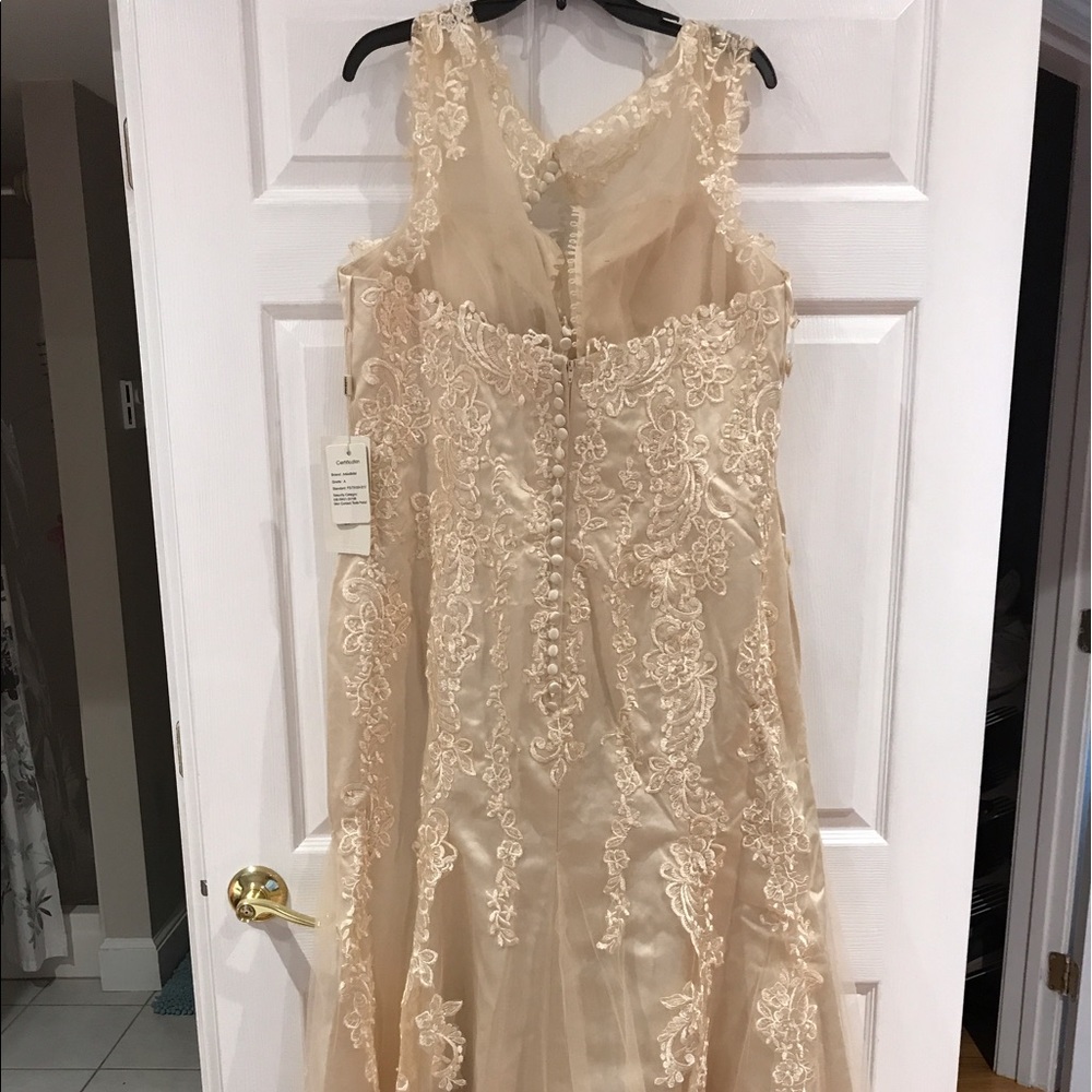 $200 for the ivory cream color one