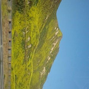 Meet your Posher, نهاد