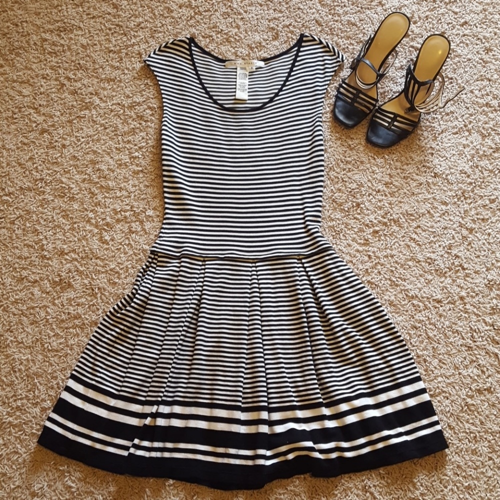 Max Studio Drop Waist Skater Dress