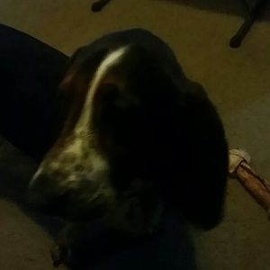 Meet your Posher, Angel