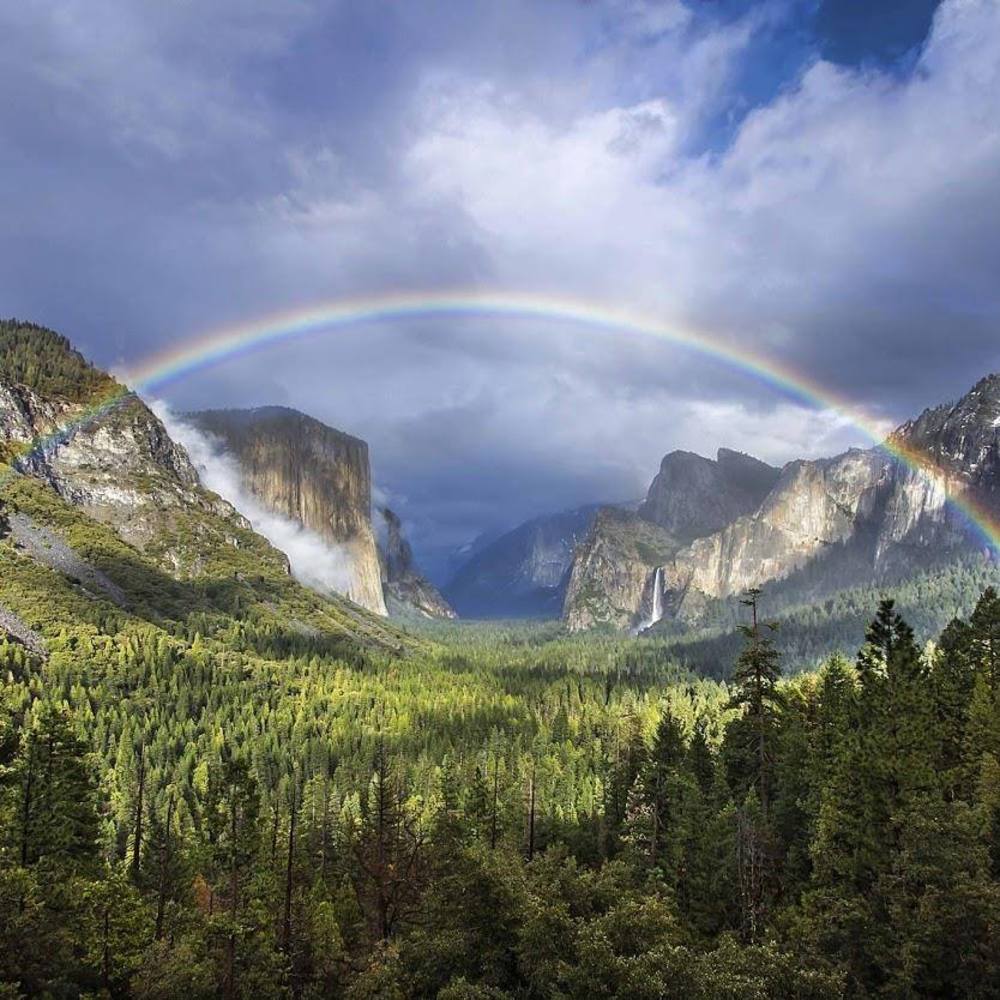 Meet your Posher, Ave