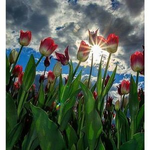 Meet your Posher, Janet