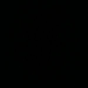 Meet your Posher, Laurraye