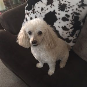 Meet your Posher, Pagen