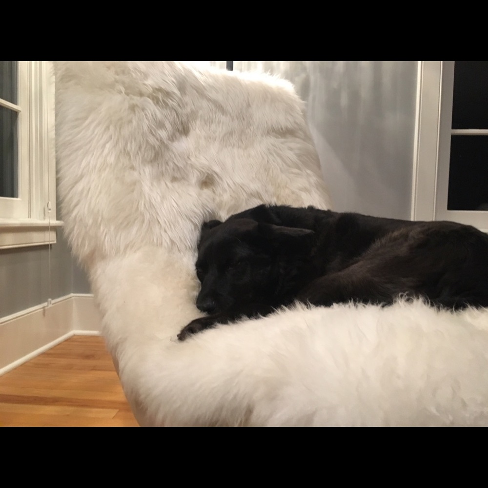 Meet your Posher, Lauren