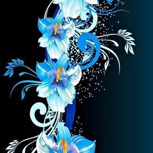 Meet your Posher, Deedee