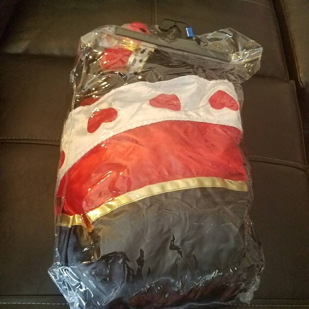 Halloween costume