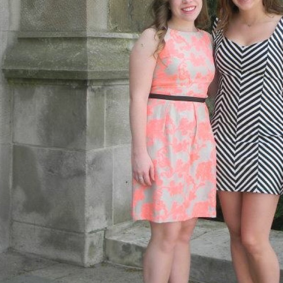 LOFT Floral Hot Pink & Grey/taupe Dress - Picture 4 of 5