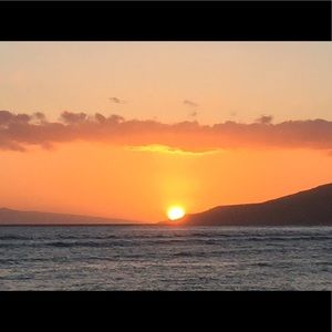 Meet your Posher, Fahimeh