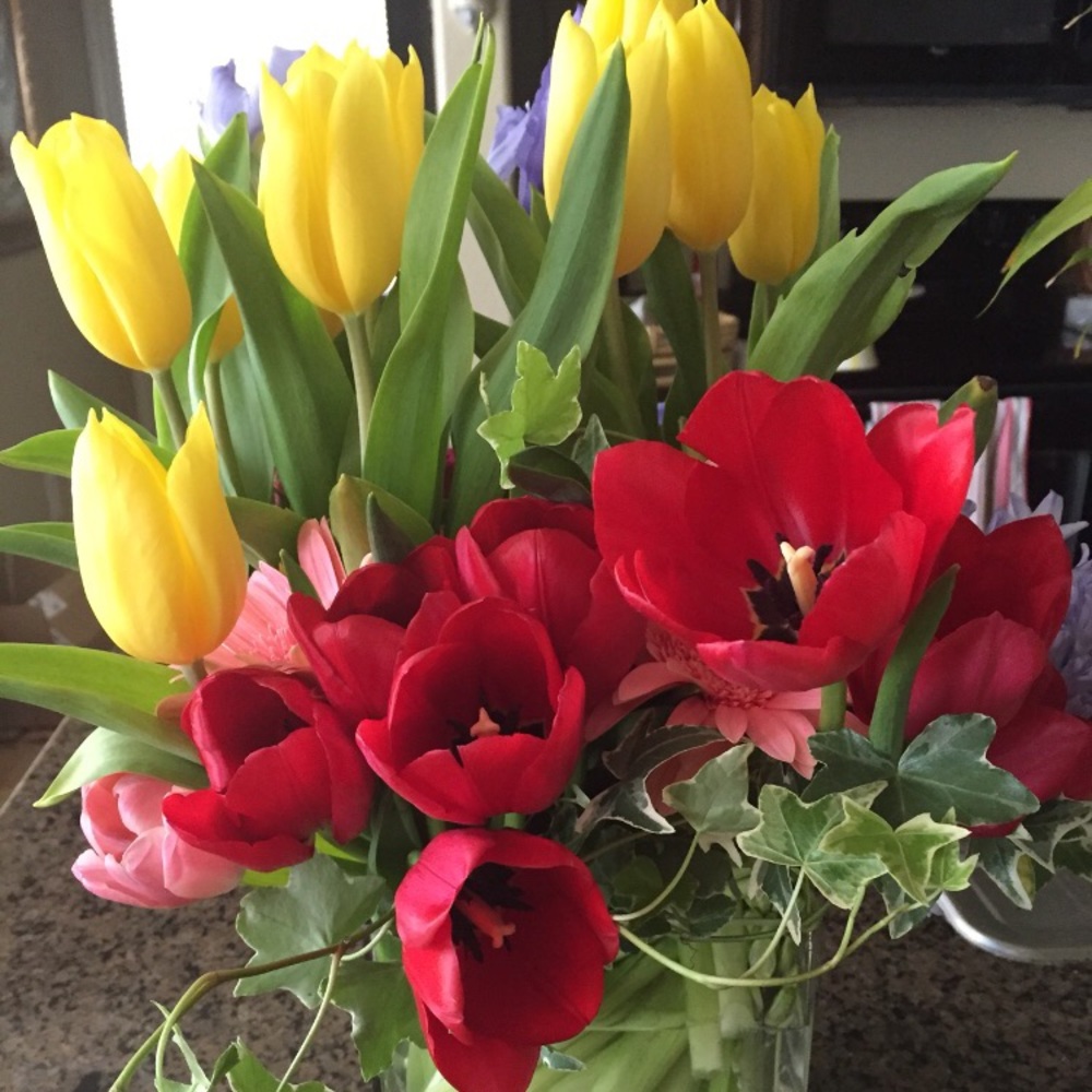 Meet your Posher, Claudia