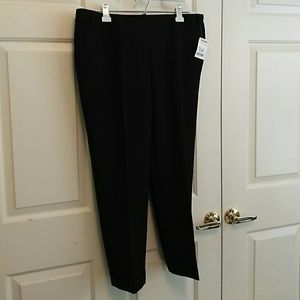 NWT Express Slacks