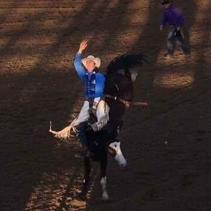 Meet your Posher, Harry