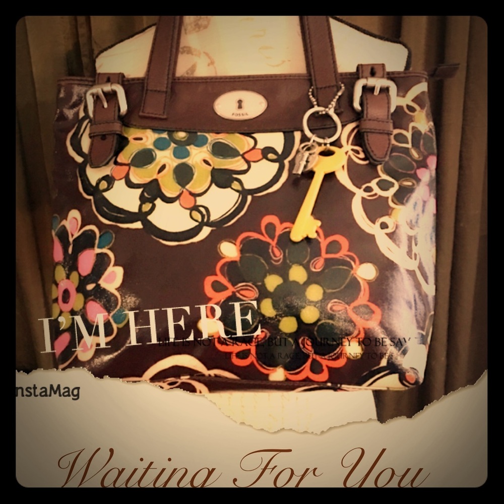 fossil handbag 👜