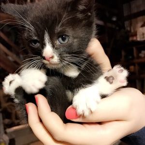 Meet your Posher, Hannah