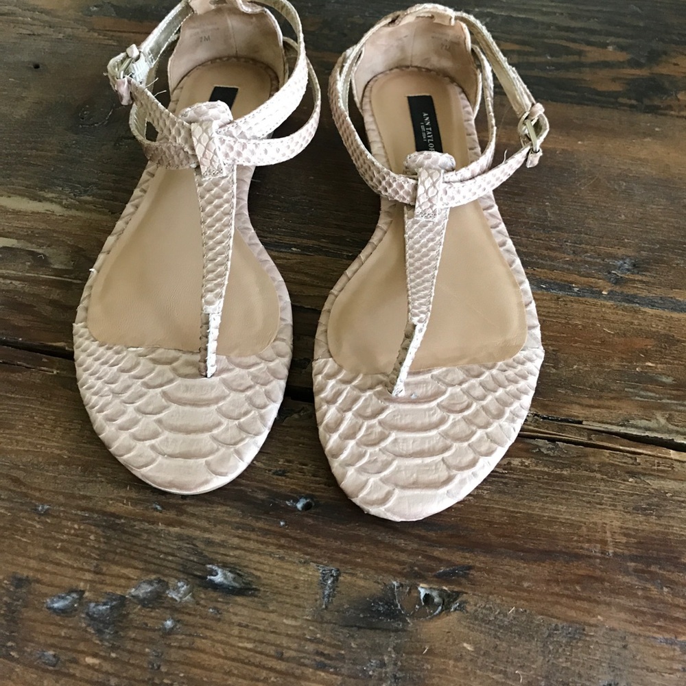Ann Taylor sandal. Sz 7
