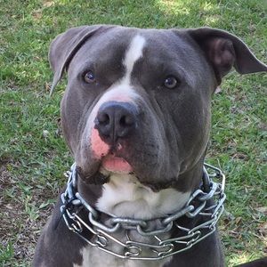 Meet your Posher, Monica