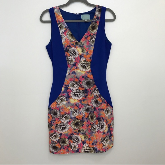 Anthropologie Dresses & Skirts - Anthro Skies Are Blue Floral Panel Sheath Dress