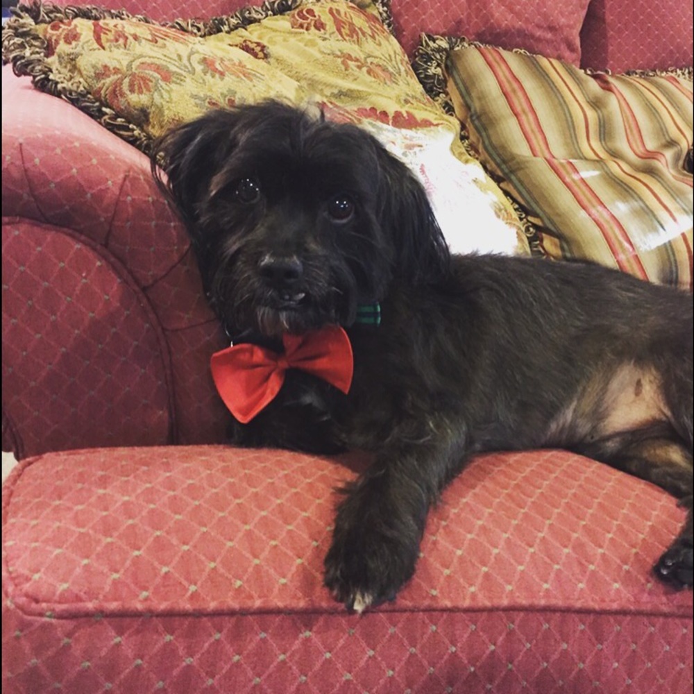 Meet your Posher, Julia