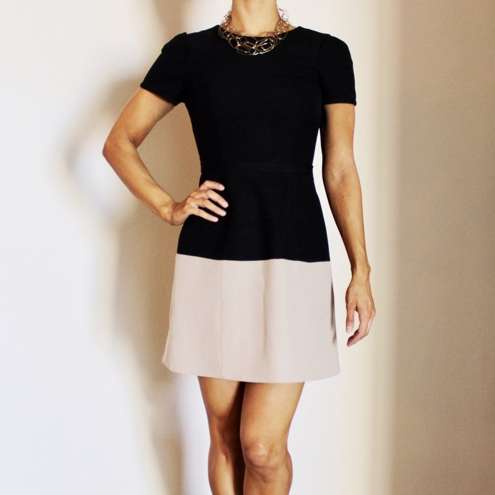 BCBG Black and Cream Short-Sleeved Dress