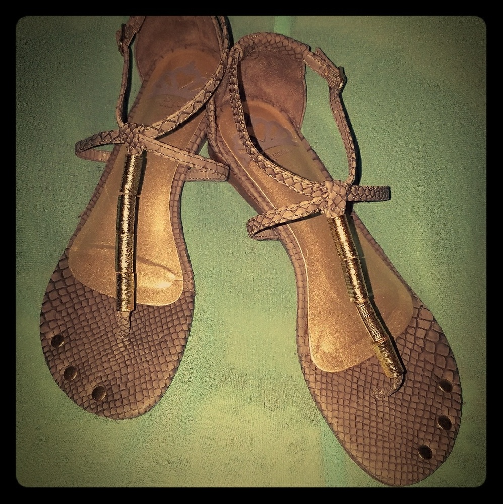 Thong Sandals with gold accents