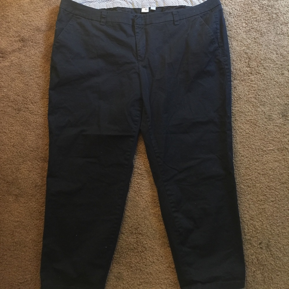 Navy Blue Casual Capri PLUS SIZE