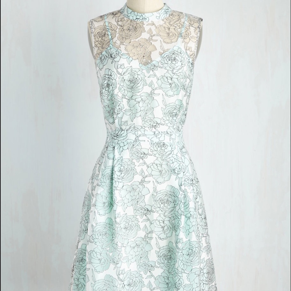 Lace and Mesh dress
