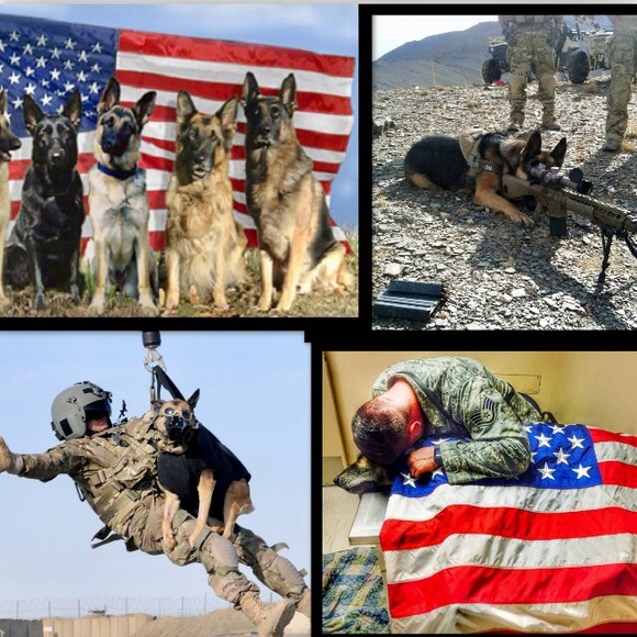 🇺🇸God Bless Our Military🇺🇸🎗🇺🇸🎗🇺🇸 - Picture 8 of 8