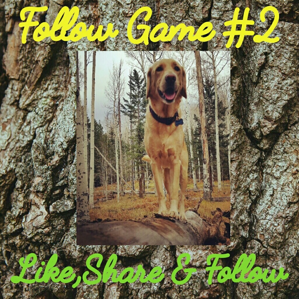 Please like,share and follow all new poshers!