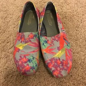 Birds of paradise classic Toms