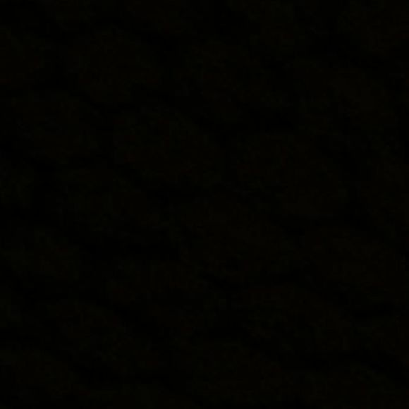 Meet your Posher, Danae & haley - Picture 1 of 1