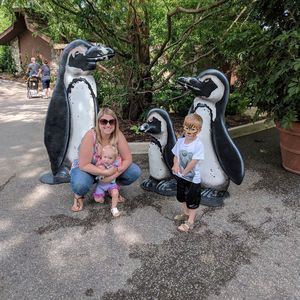 Meet your Posher, Lindsay