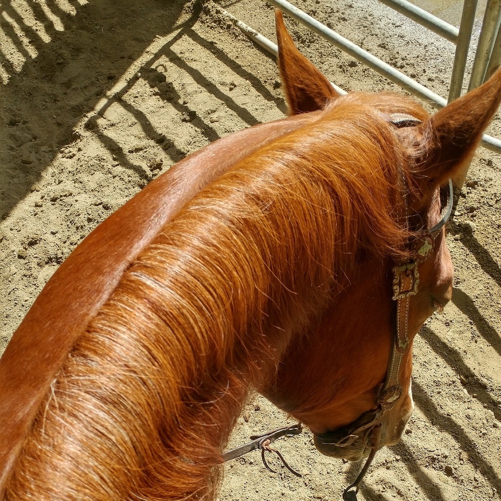 Meet your Posher, Beth