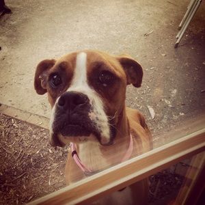 Meet your Posher, Melanie