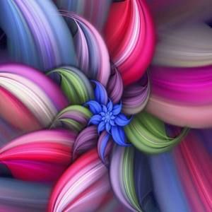 Meet your Posher, Jaclyn