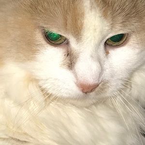 Meet your Posher, Jocelyn