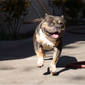 Meet your Posher, Malik