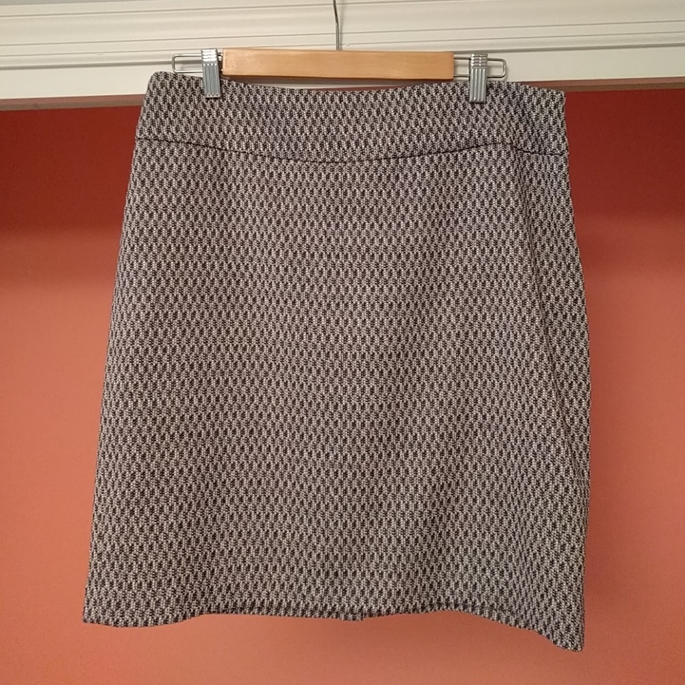 The Limited skirt