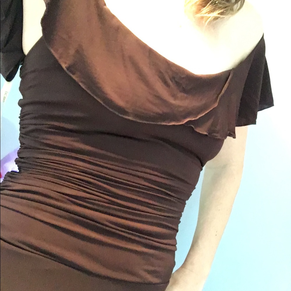 BCBG Maxazria sexy romantic brown fitted dress