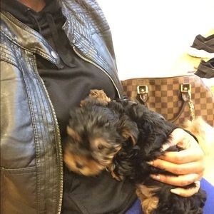 Meet your Posher, Jasmine