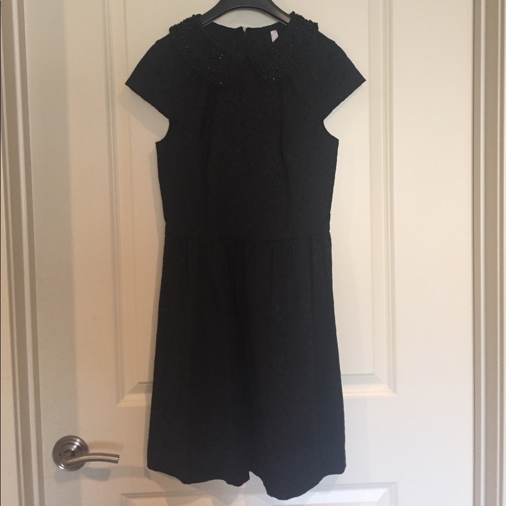 Kensie collared dress
