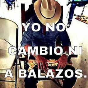 Meet your Posher, Hernandez