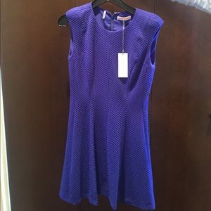 Royal blue Rebecca Taylor dress