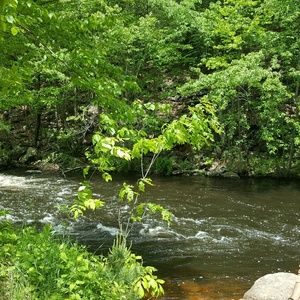 Meet your Posher, Deborah