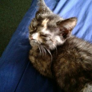 Meet your Posher, Holly